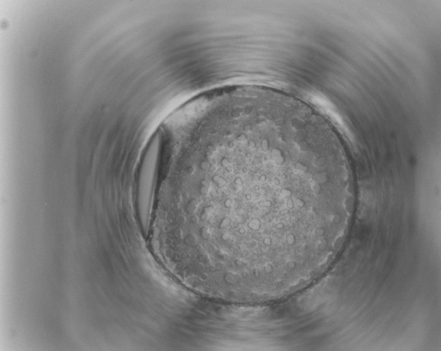 X0000088591284200706011128