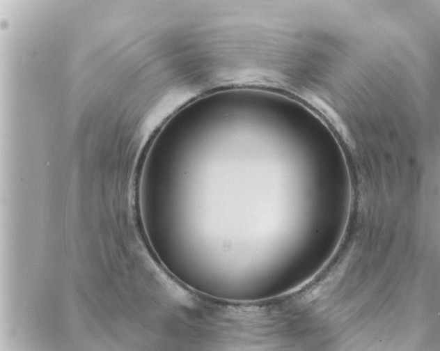 X0000088591285200706011128