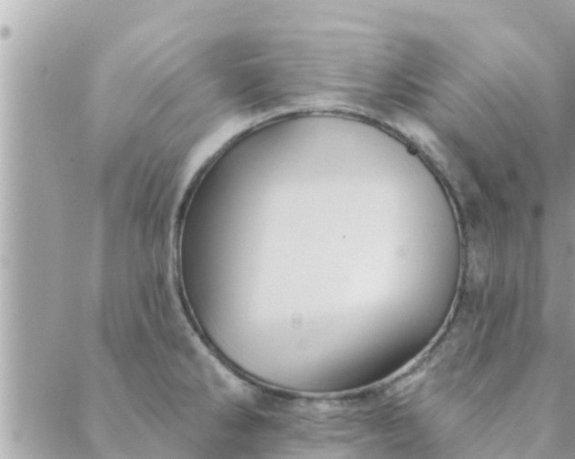 X0000088591286200706011128