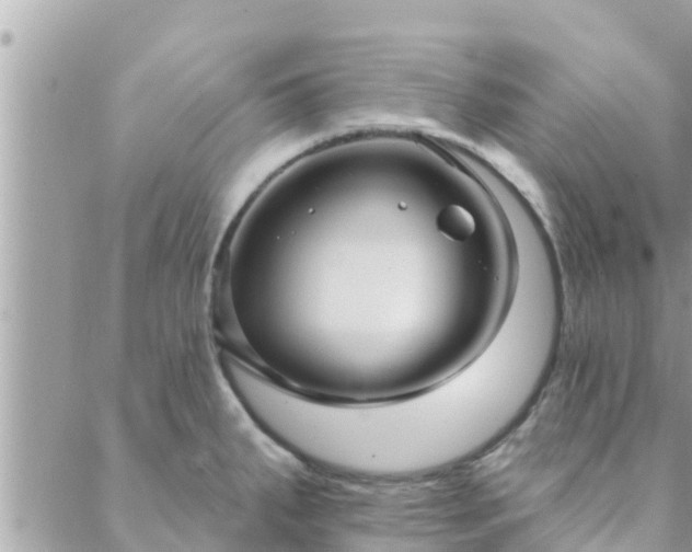 X0000088591287200706011128