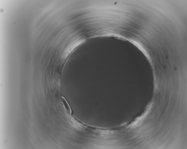 X0000088591289200706011128