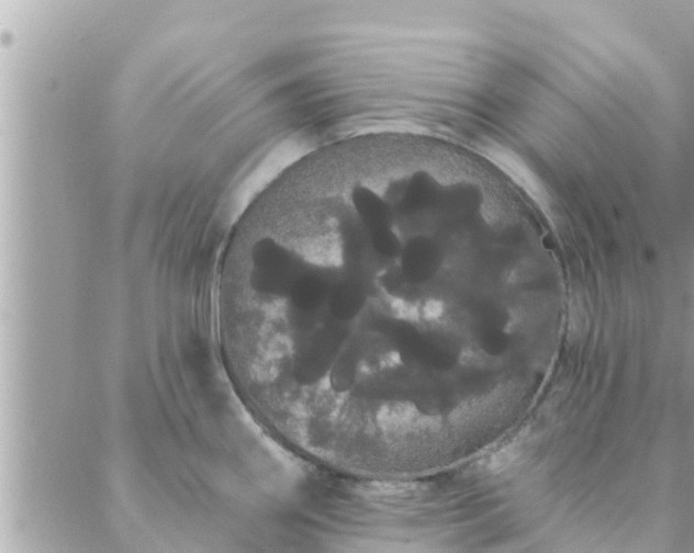 X0000088591290200706011128