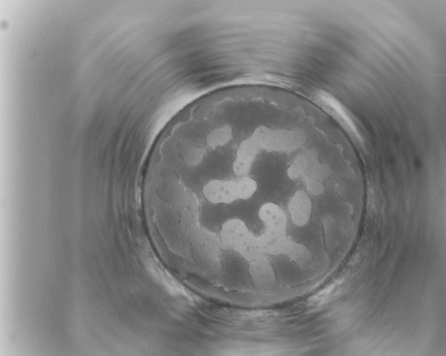 X0000088591292200706011128