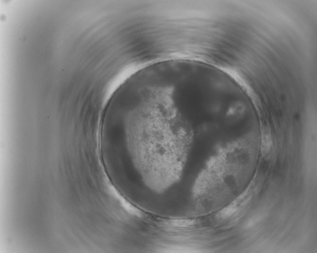 X0000088591294200706011128