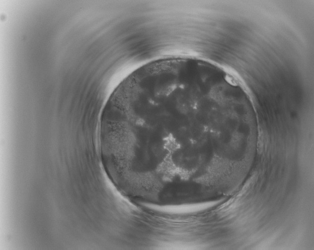 X0000088591295200706011128