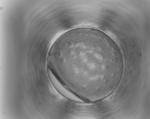 X0000088591296200706011128