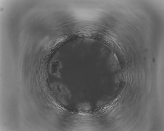 X0000088591297200706011127