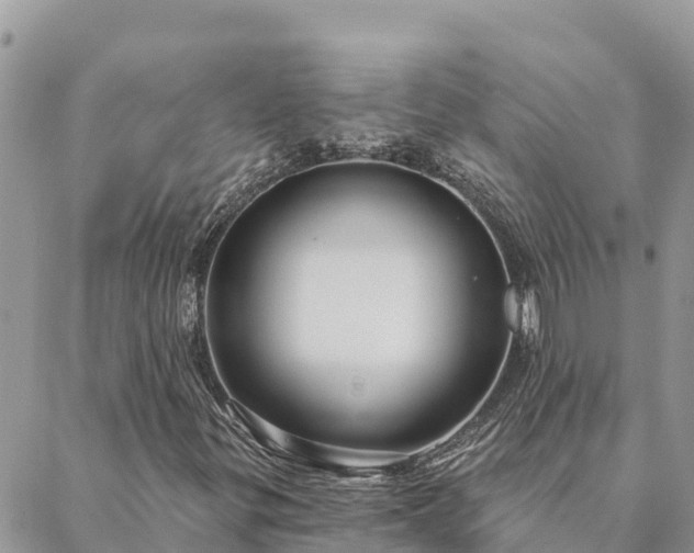 X0000088591299200706011127