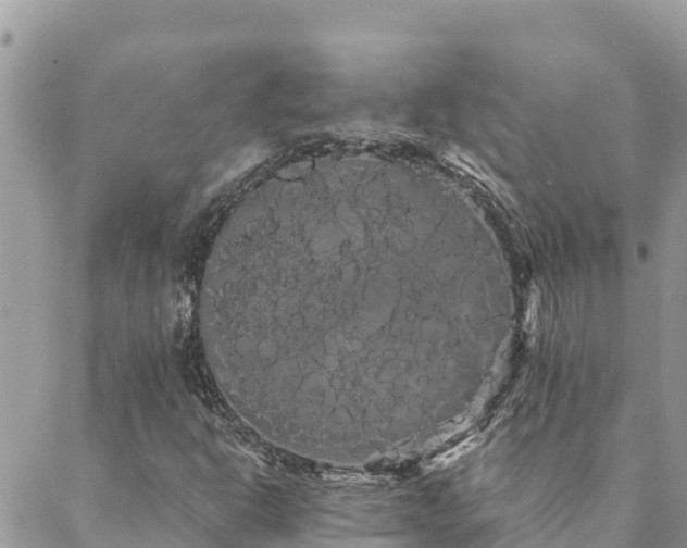 X0000088591302200706011127