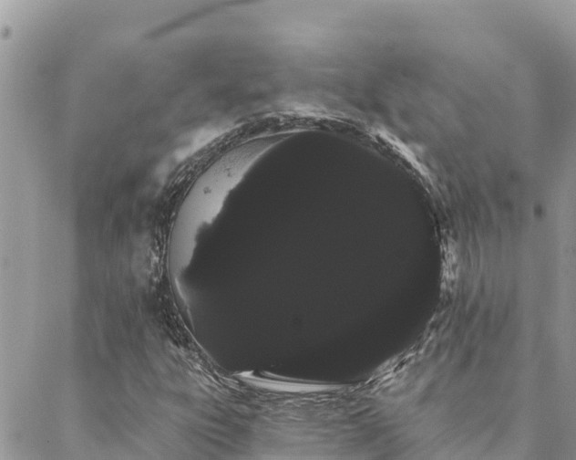 X0000088591303200706011127