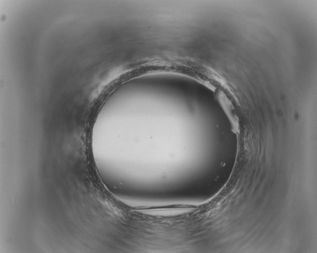 X0000088591304200706011127