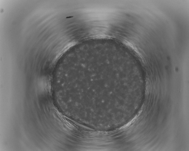 X0000088591305200706011127