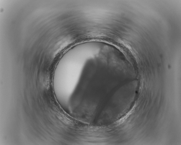 X0000088591306200706011127