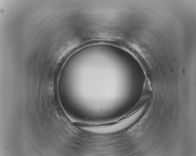 X0000088591307200706011128