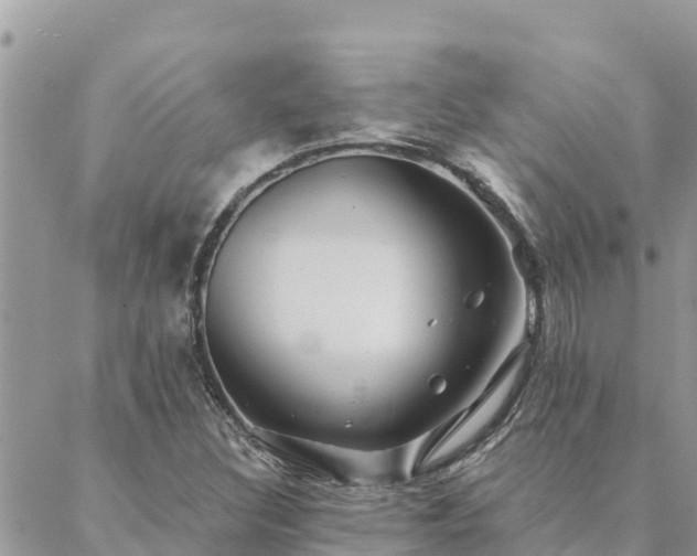 X0000088591308200706011128