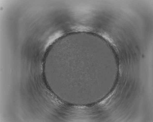 X0000088591309200706011128