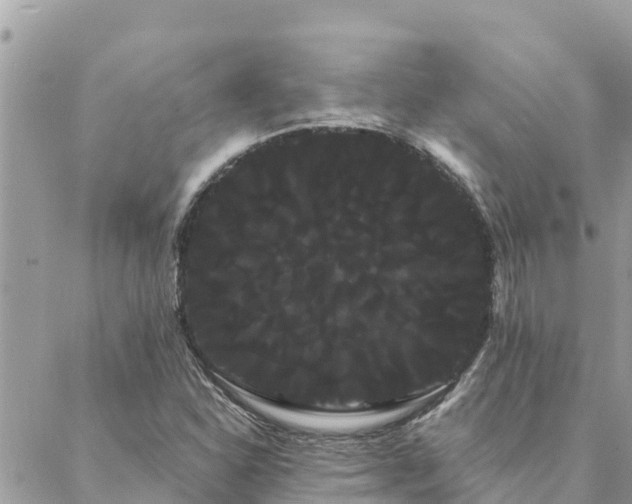 X0000088591310200706011128