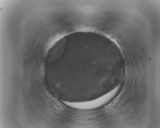 X0000088591311200706011128