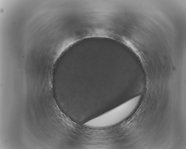 X0000088591312200706011128