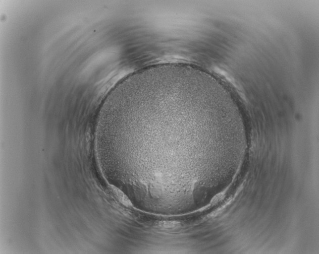 X0000088591313200706011128