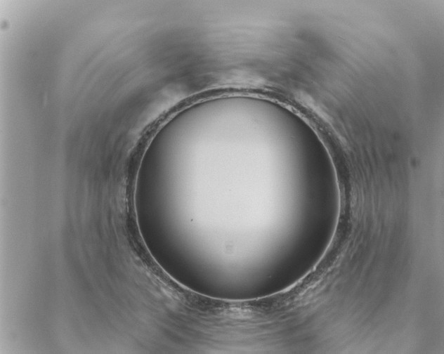 X0000088591315200706011128