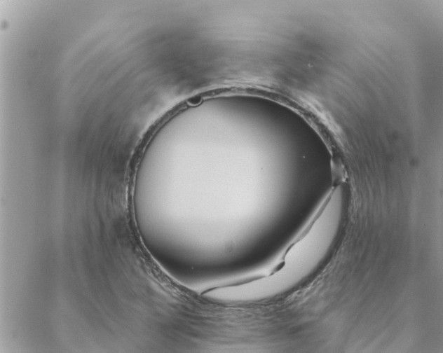 X0000088591316200706011128