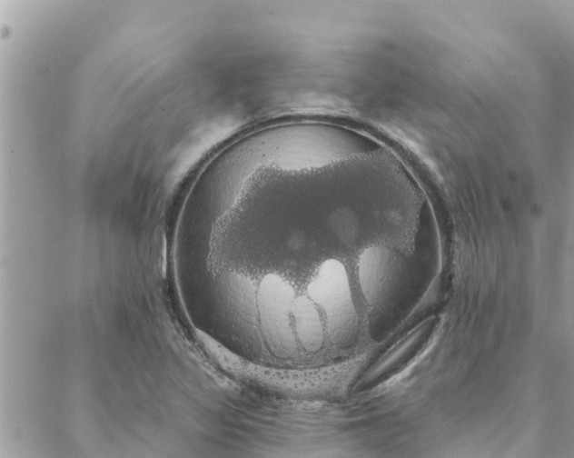 X0000088591317200706011128