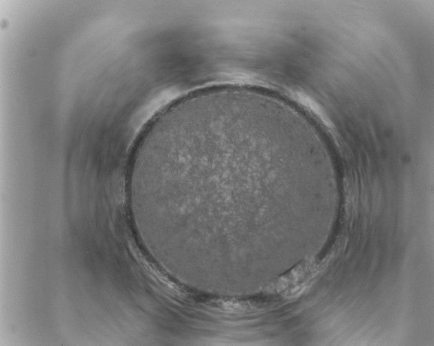 X0000088591318200706011128