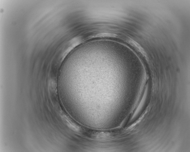 X0000088591321200706011128