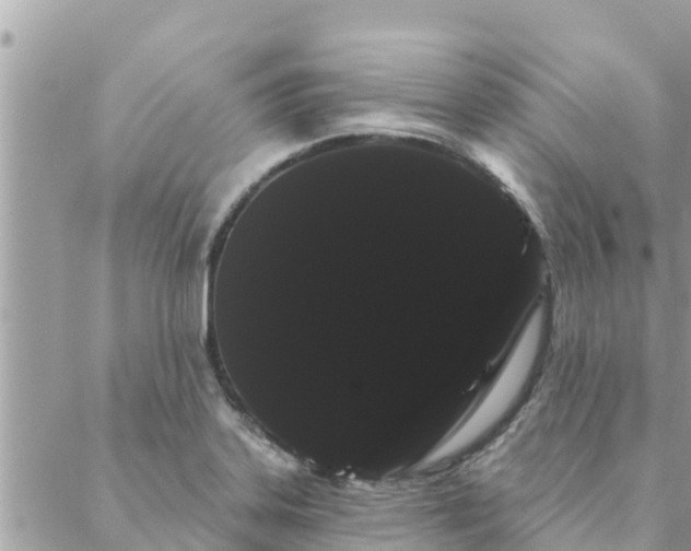 X0000088591323200706011128