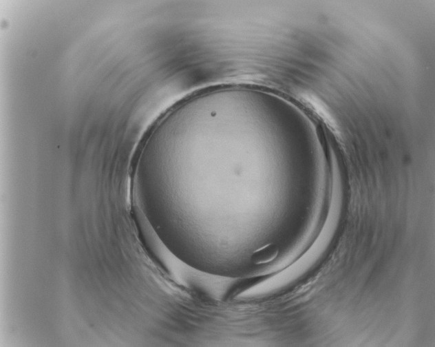 X0000088591324200706011128