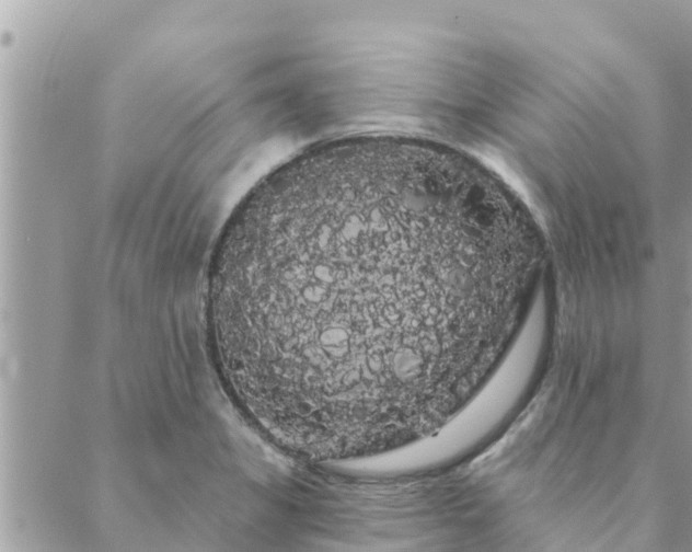 X0000088591325200706011128