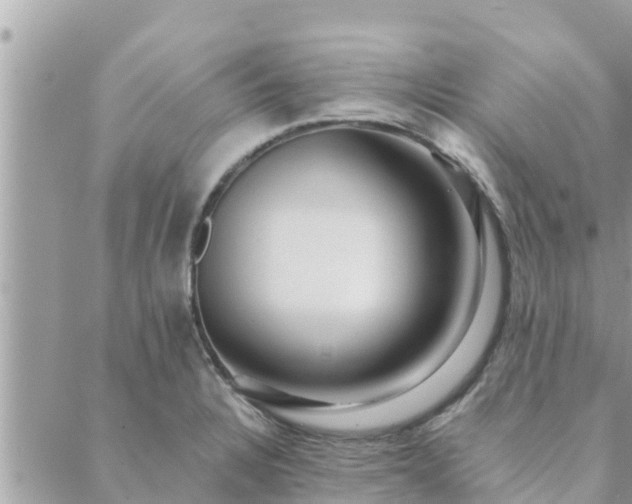 X0000088591328200706011128