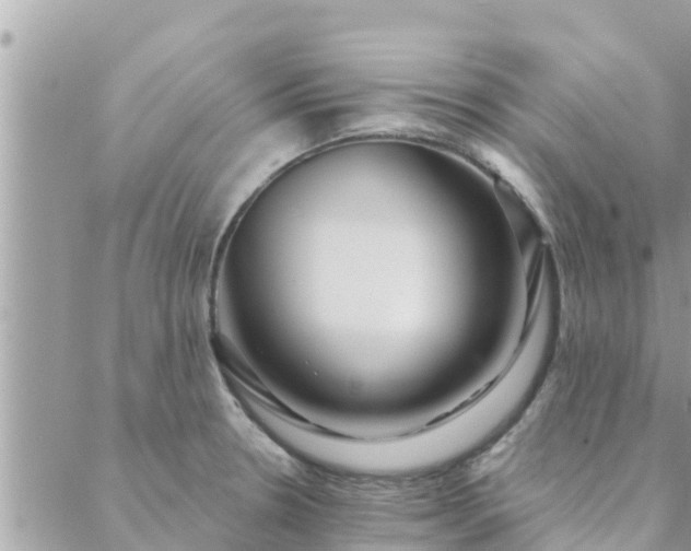 X0000088591330200706011128