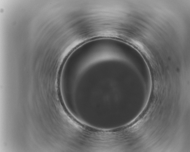 X0000088591331200706011128