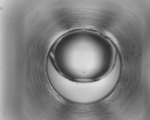 X0000088591332200706011128