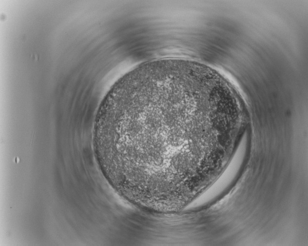 X0000088591333200706011128