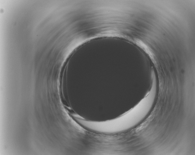 X0000088591334200706011128