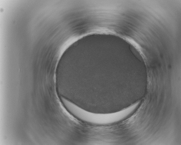 X0000088591335200706011128