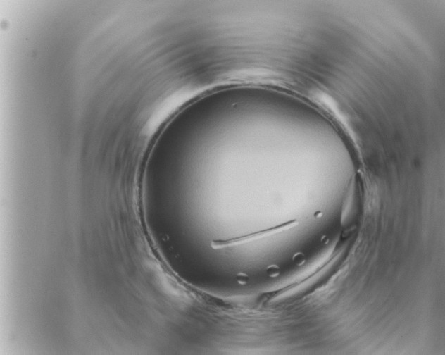 X0000088591336200706011128