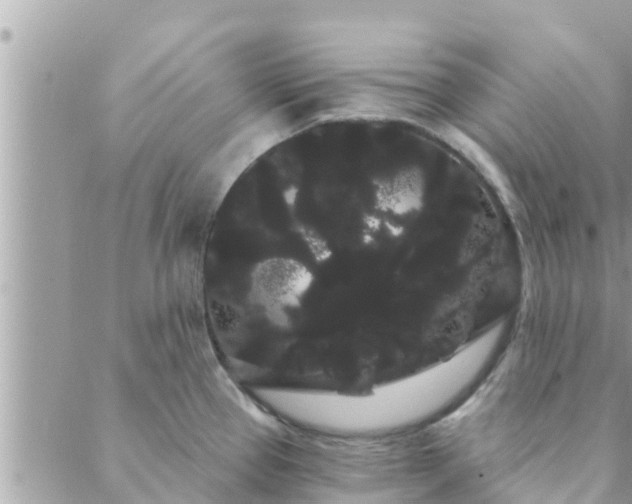 X0000088591337200706011128