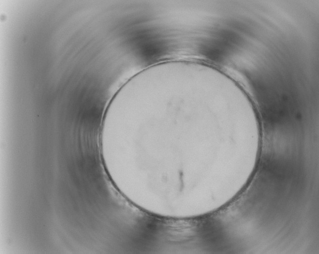 X0000088591338200706011128