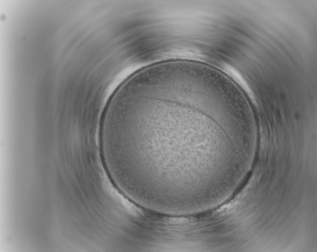 X0000088591339200706011128