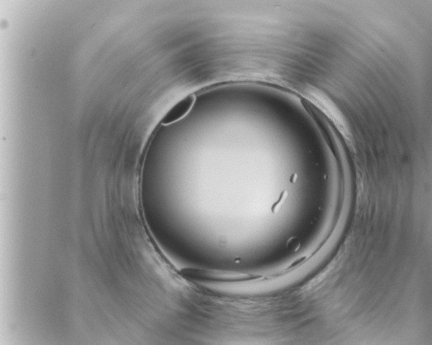 X0000088591340200706011128