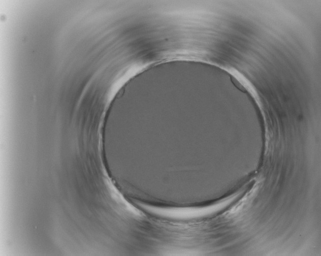 X0000088591341200706011128