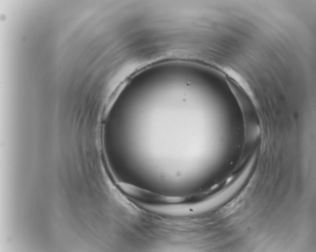 X0000088591342200706011128