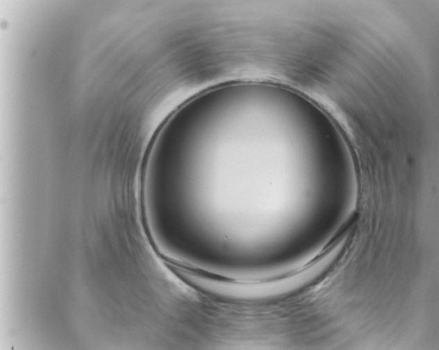 X0000088591343200706011128