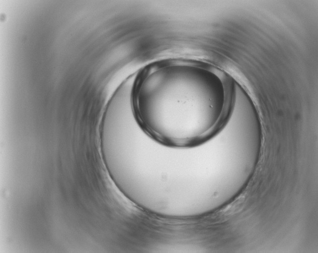 X0000088591344200706011128