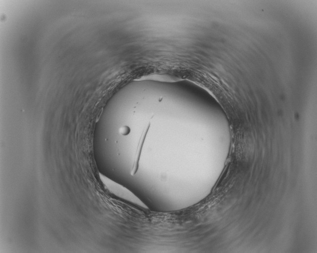 X0000088591345200706011127