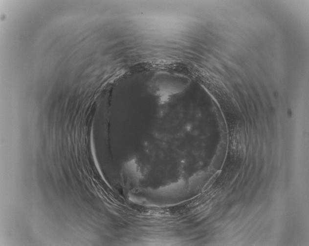 X0000088591346200706011127